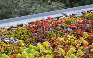 the cost of Spaldwick green roof installation